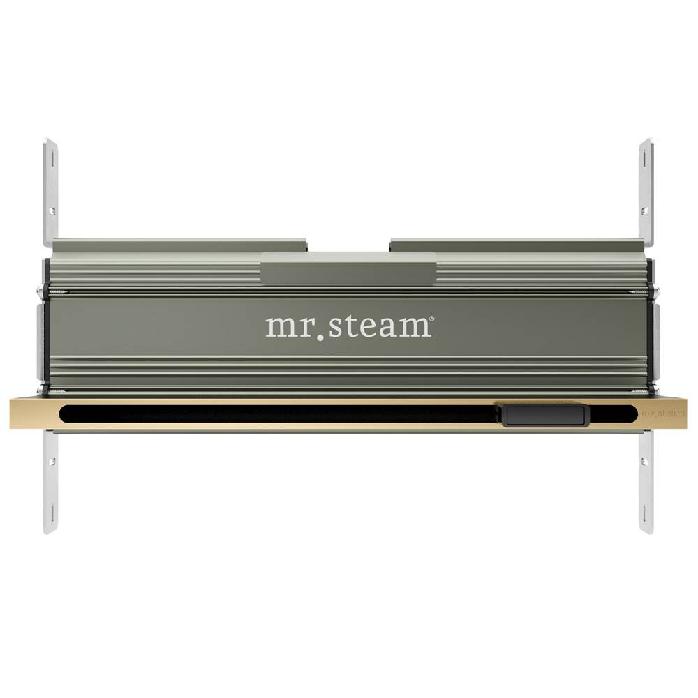 Mr. Steam Linear 16 in. W. Steamhead with AromaTherapy Reservoir in Satin Brass